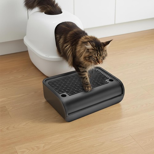 Lettiera per gatti gradino