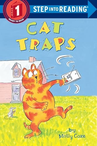 Cat traps early step into - cat,